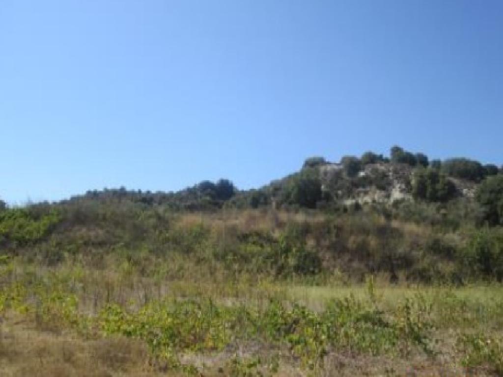 Field-Theletra-PR41029