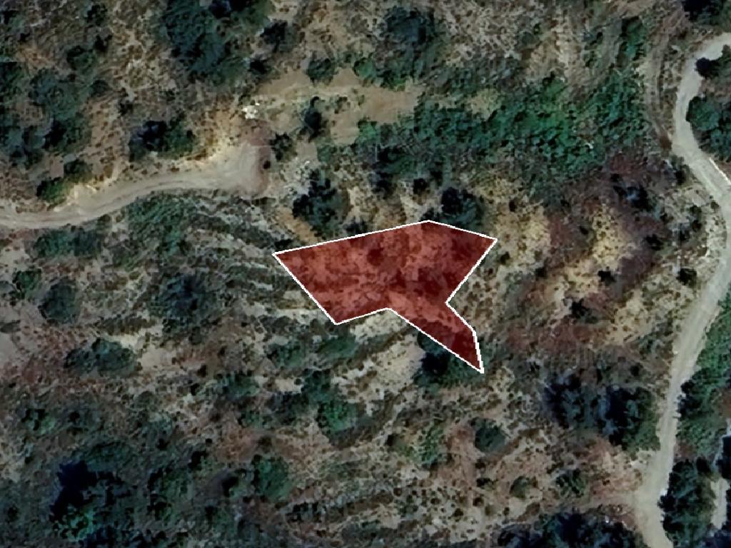 Field-Spilia-PR41365