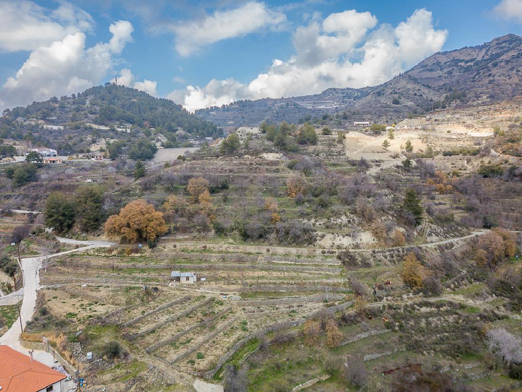 Field-Agros-PR41576