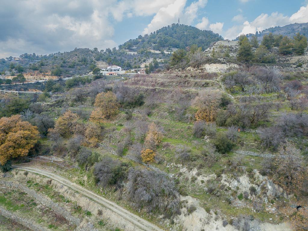 Field-Agros-PR41576