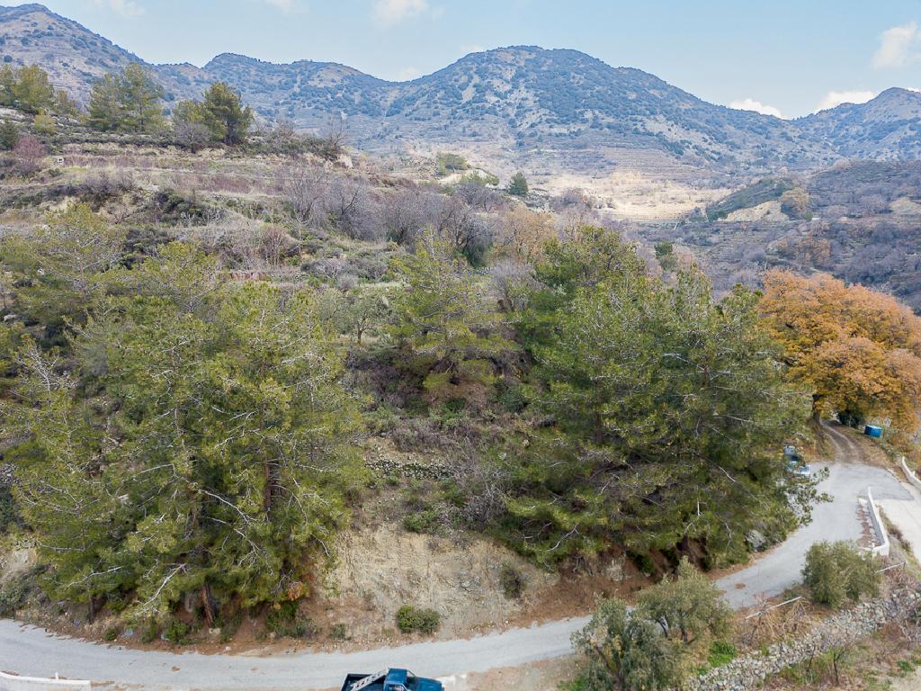 Field-Agros-PR41576