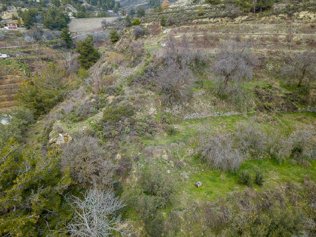 Field-Agros-PR41576