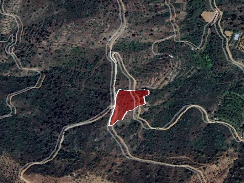 Field-Gourri-PR41243