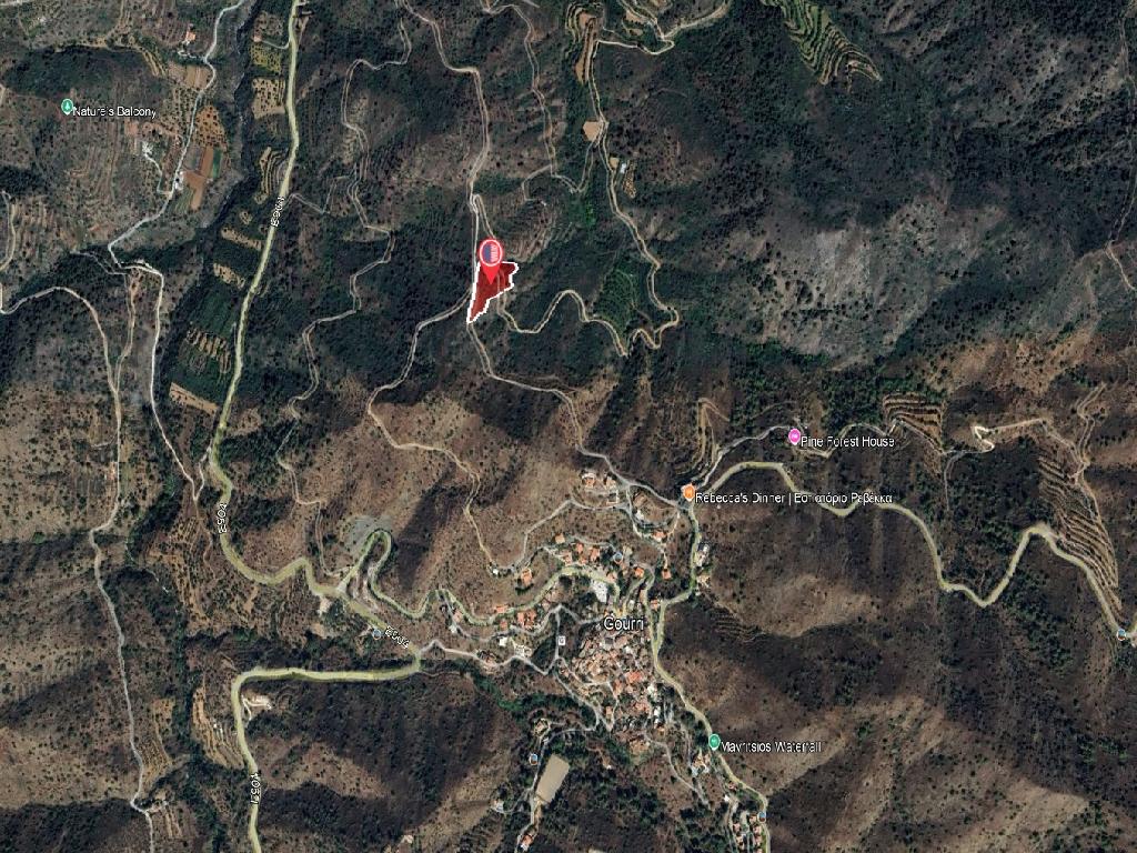 Field-Gourri-PR41243