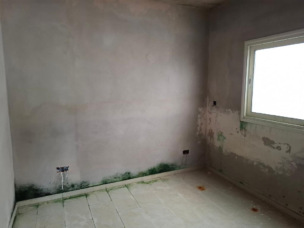 Διαμέρισμα-Πέγια-CP10211