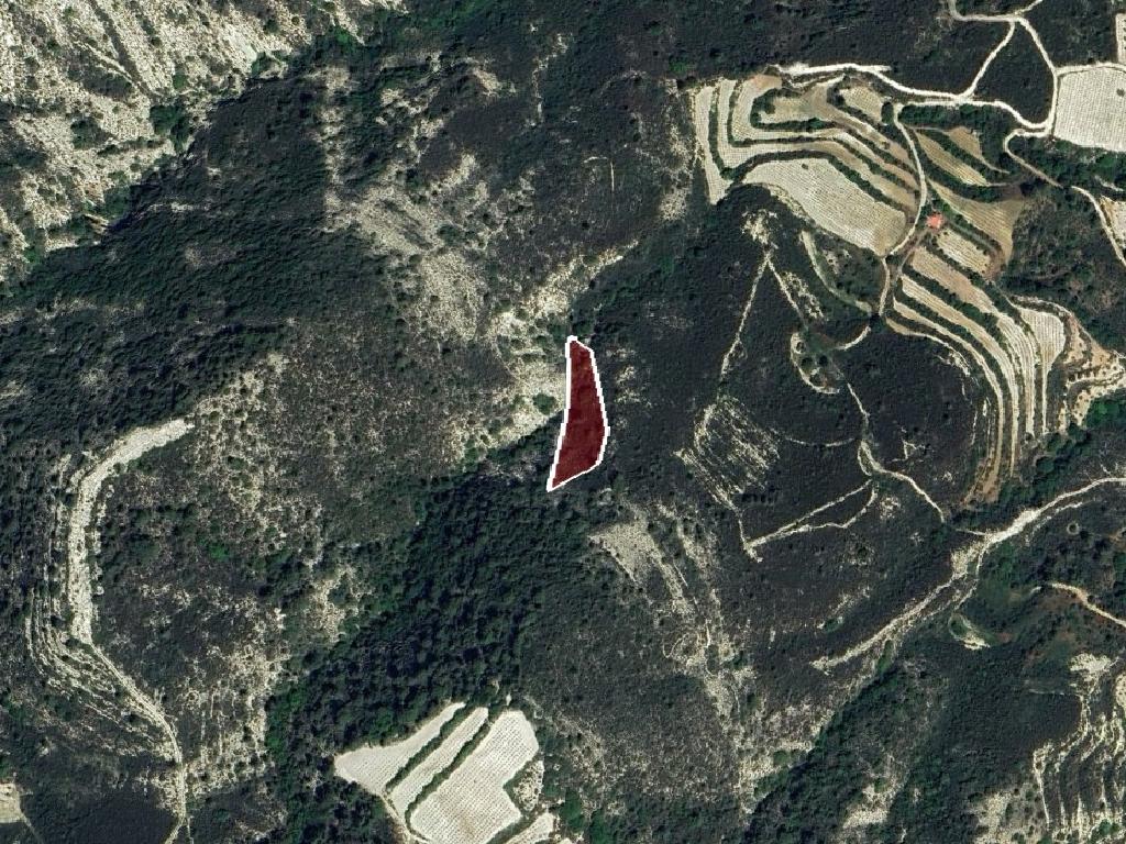 Field-Agios Mamas-PR44337