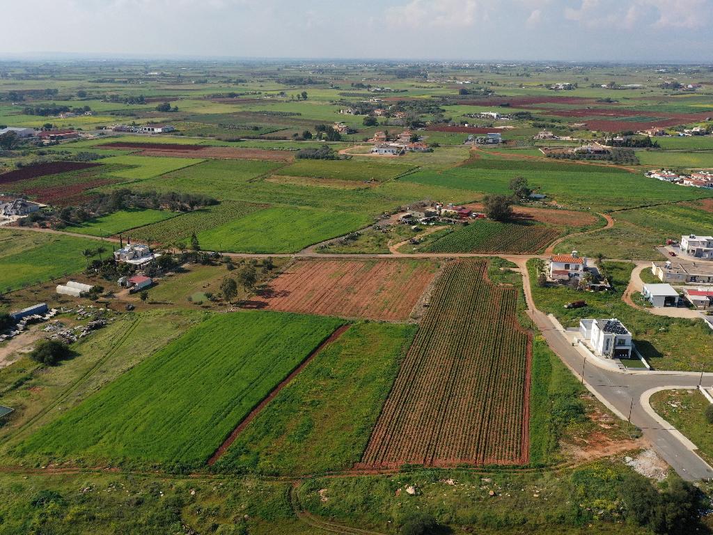 Field (Share) - Liopetri, Famagusta