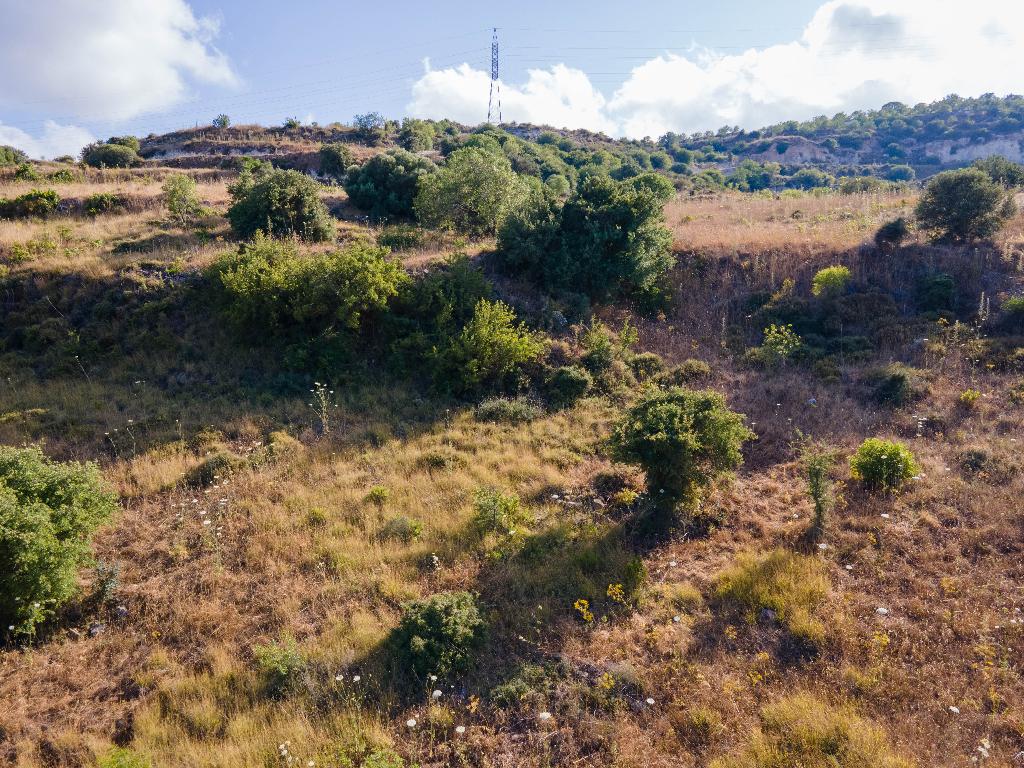 Field-Episkopi-PR32903