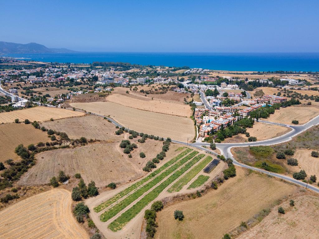 Field-Polis Chrysochous-PR33716