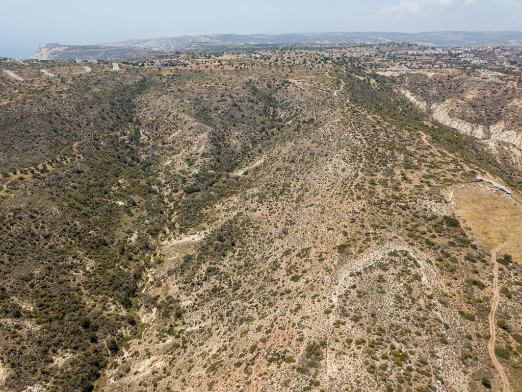 Field (Share) - Pissouri, Limassol