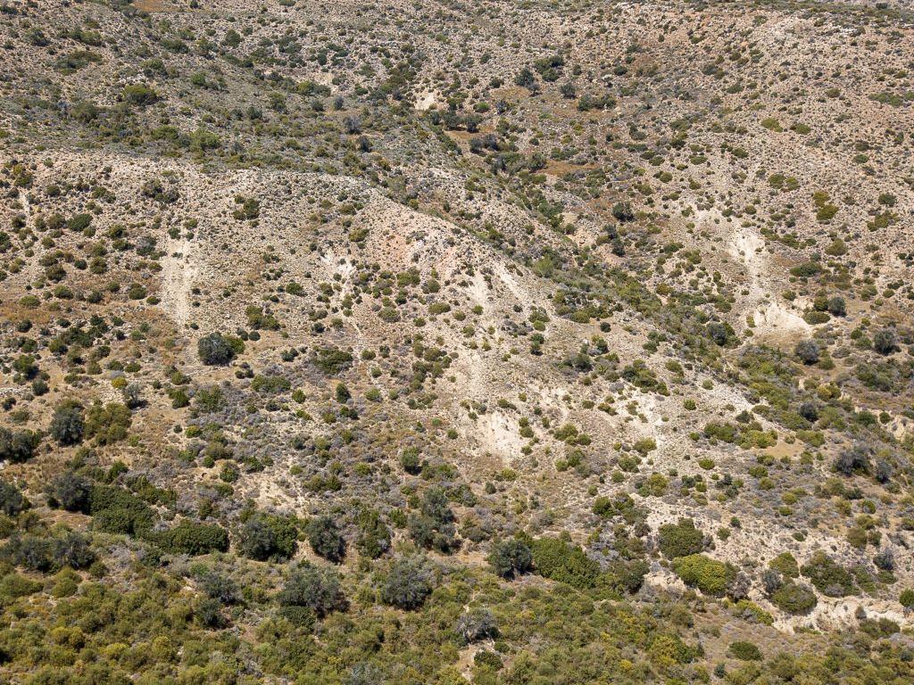 Field-Pissouri-PR34224