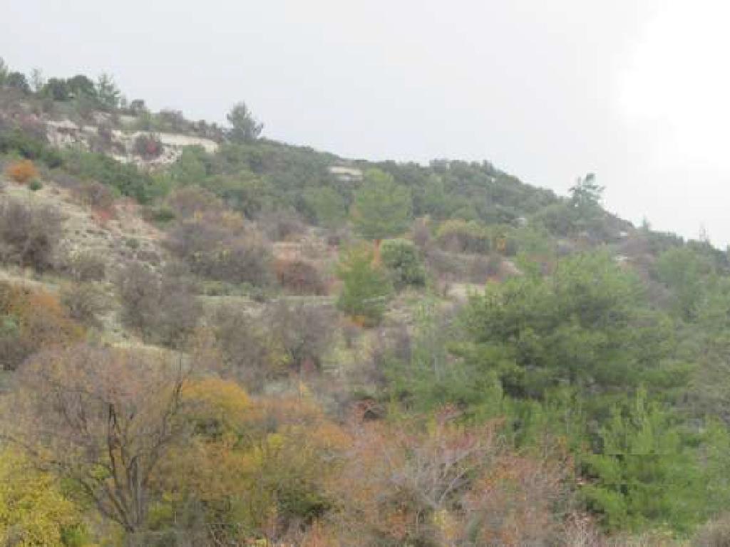 Field-Arminou-PR35183