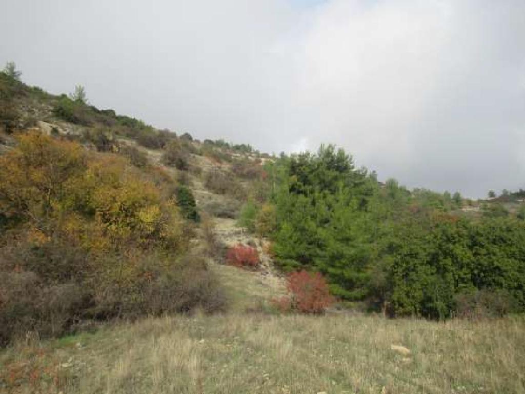 Field-Arminou-PR35183