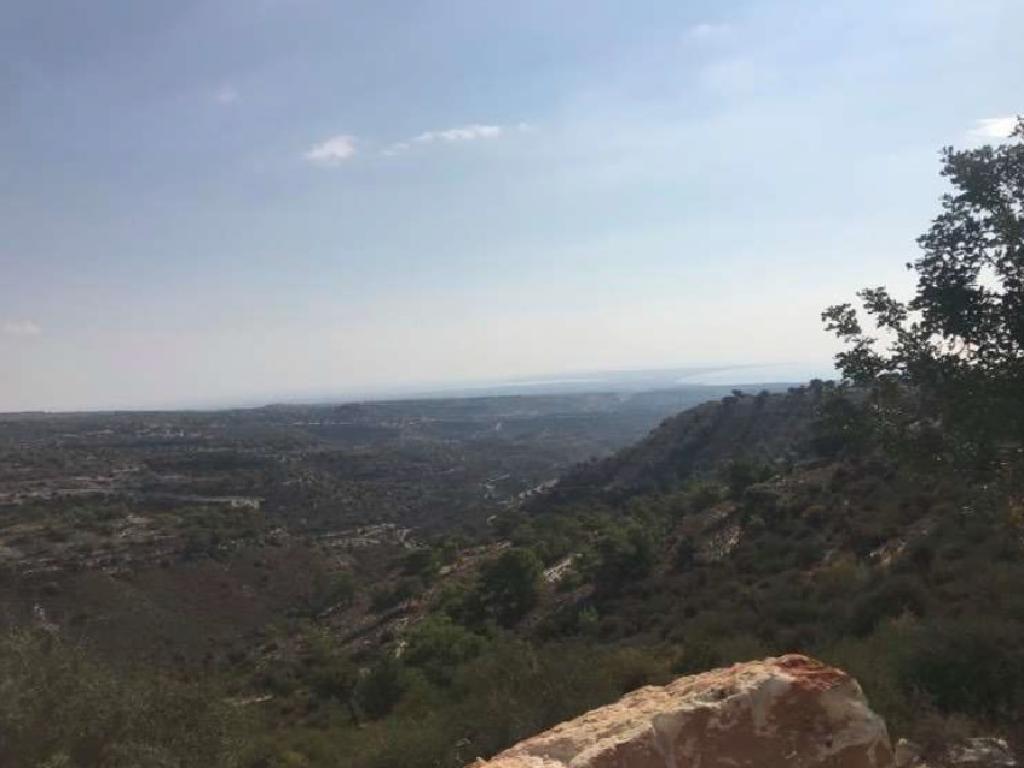 Field-Pano Kivides-PR36154