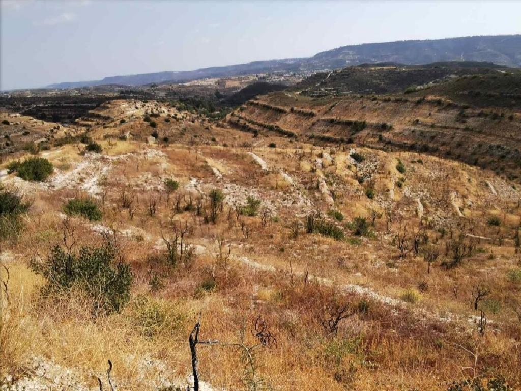 Field-Vouni-PR36924