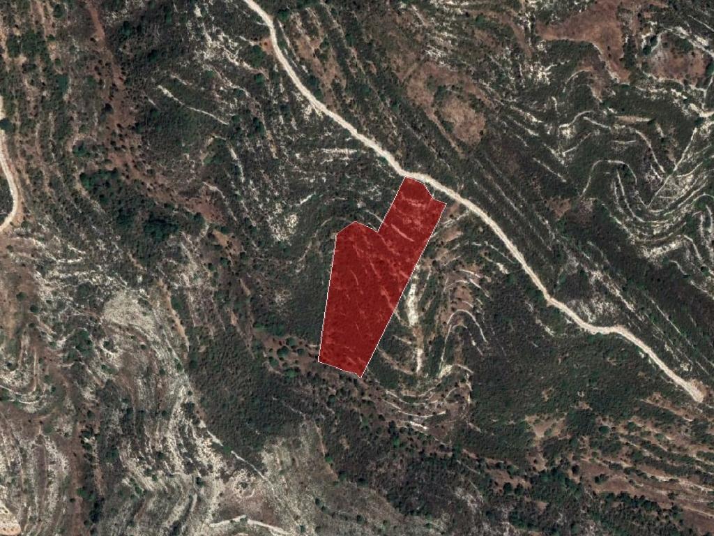 Field-Vouni-PR36924
