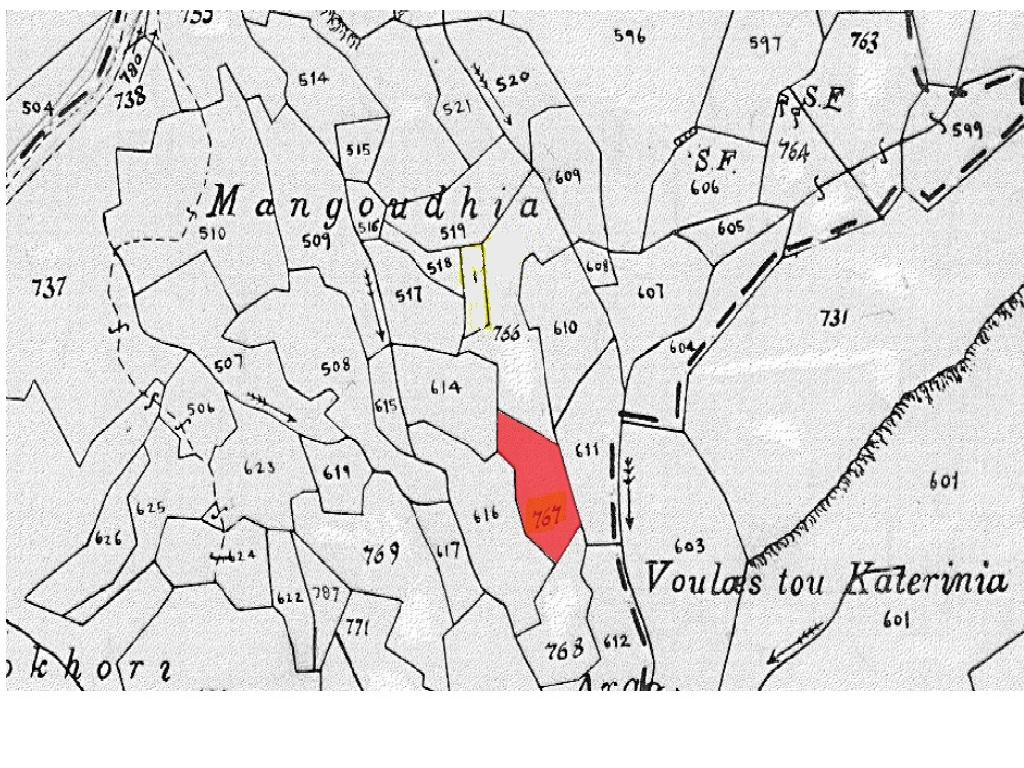 Field-Mosfili-PR37531
