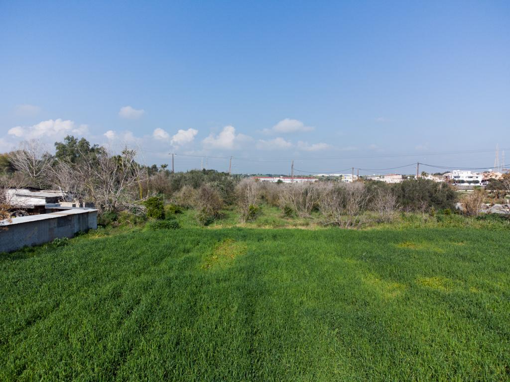 Field-Ormideia-PR36682