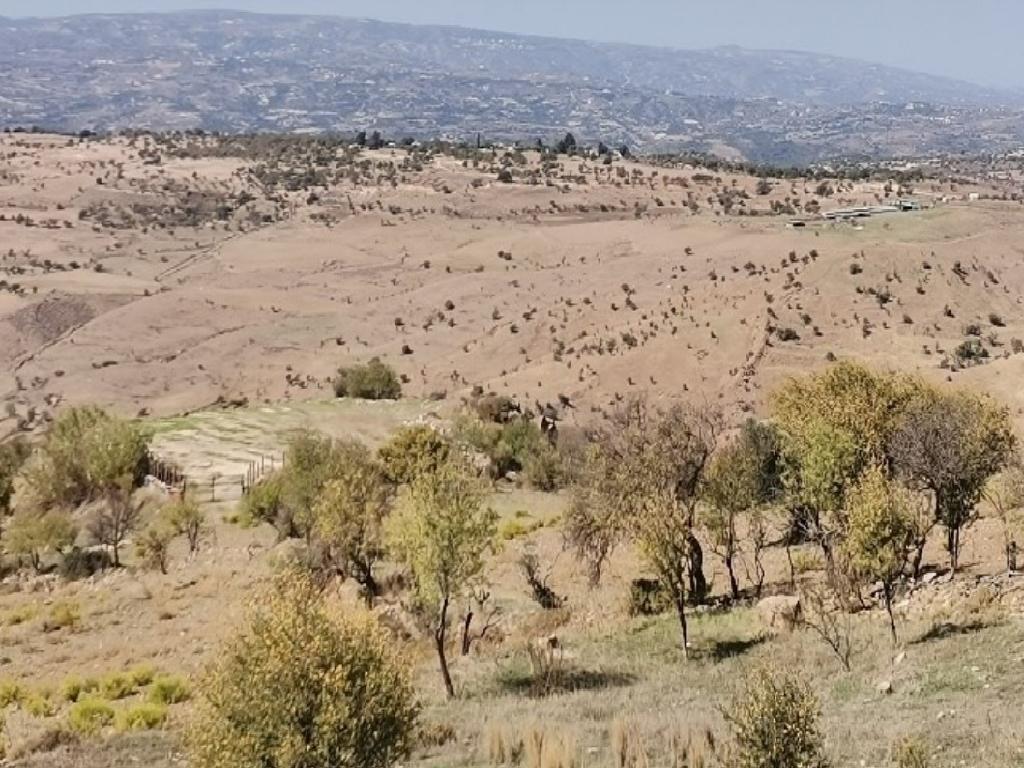 Field-Faleia-PR38361