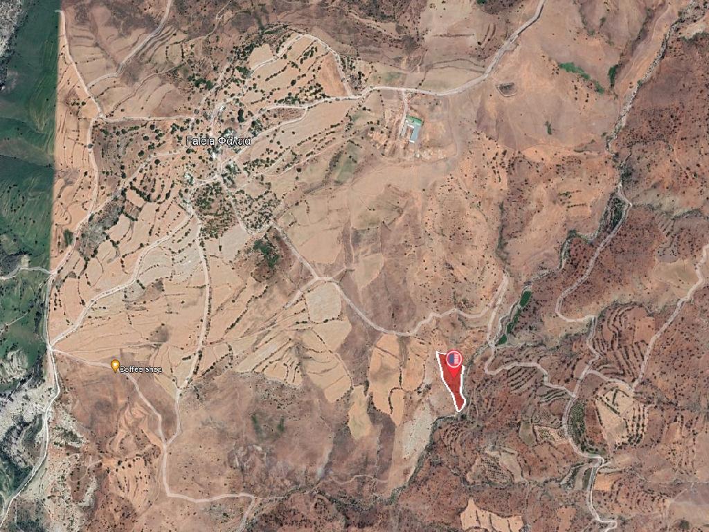 Field-Faleia-PR38361
