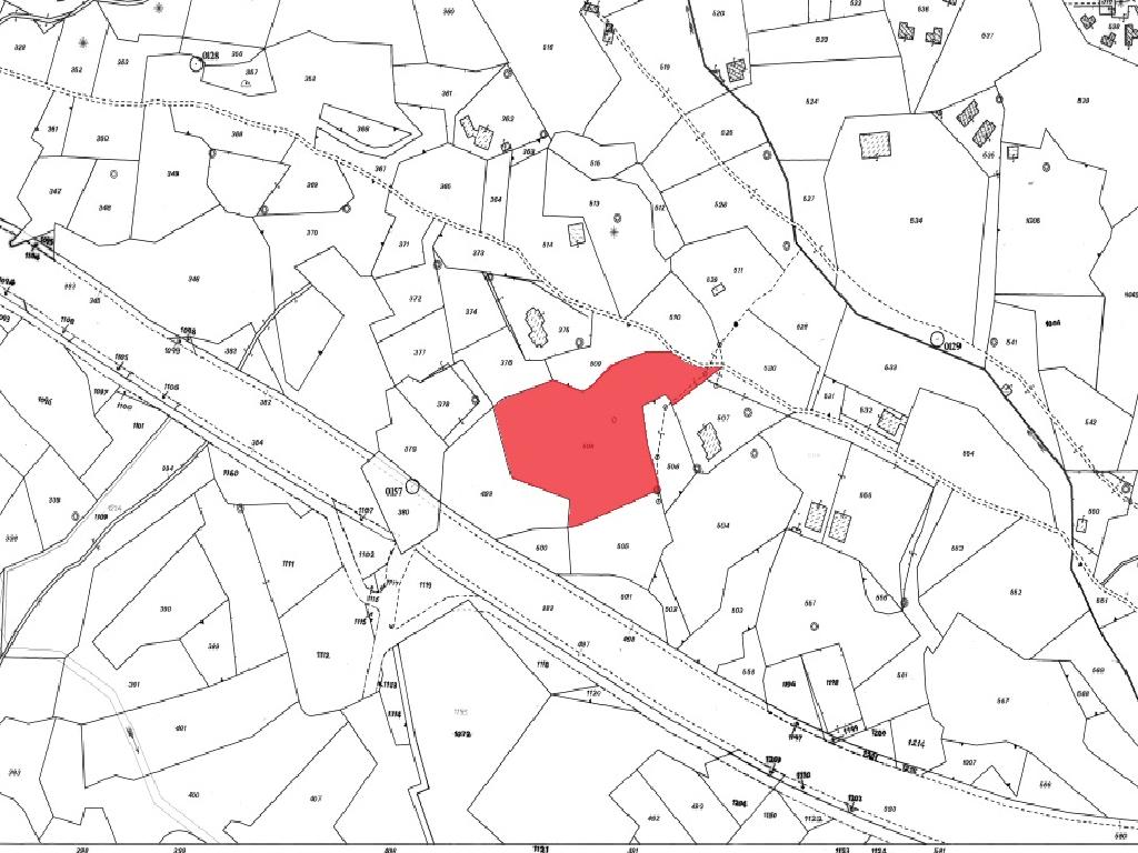 Field-Paralimni-PR35675
