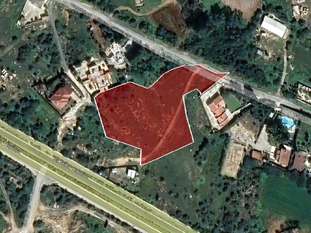Field-Paralimni-PR35675