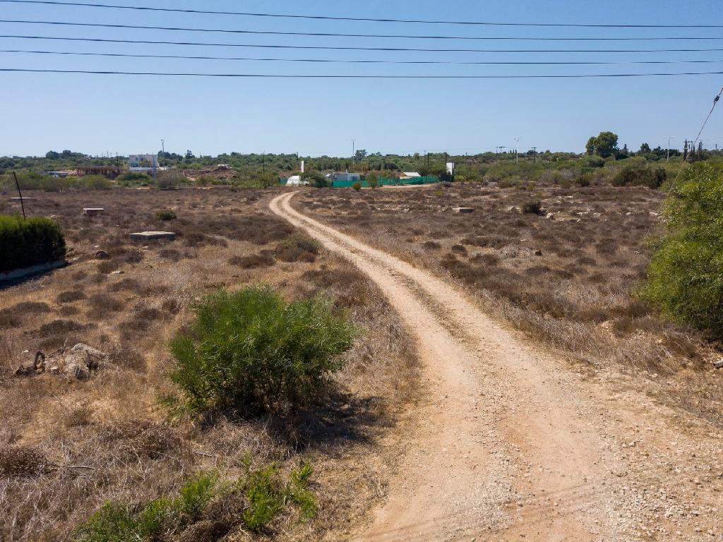 Field-Paralimni-PR35675