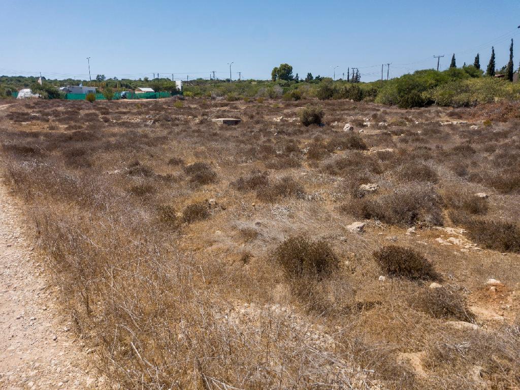 Field-Paralimni-PR35675