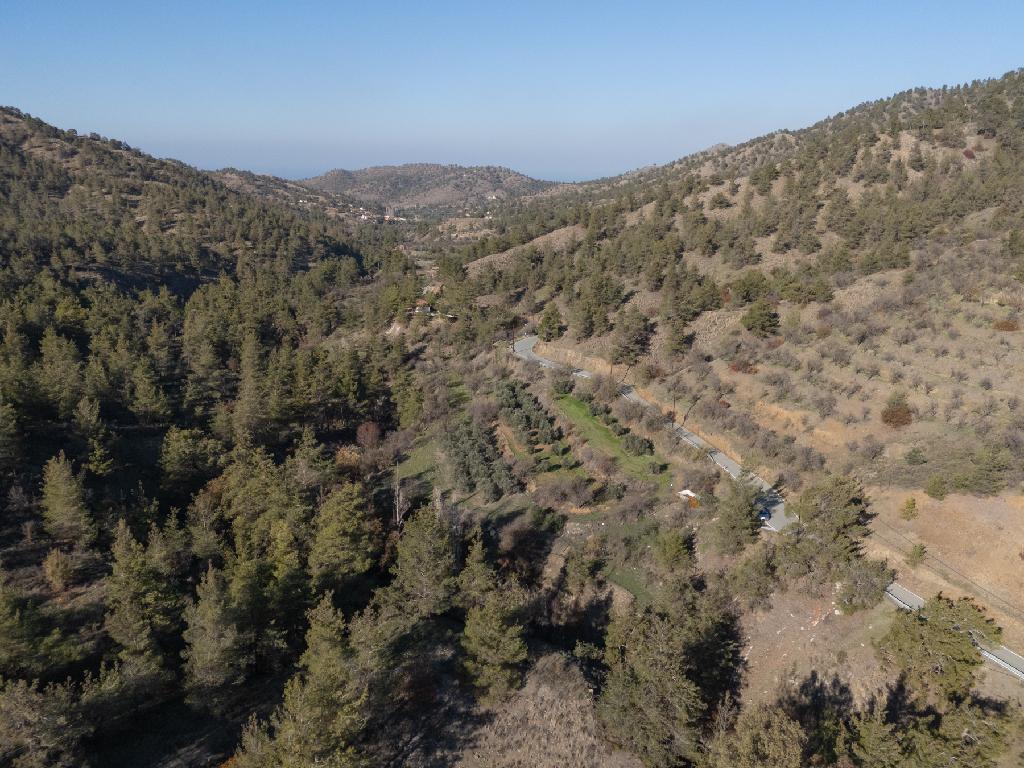 Field-Agios Theodoros (Soleas)-PR39358
