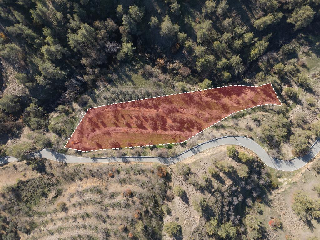 Field-Agios Theodoros (Soleas)-PR39358