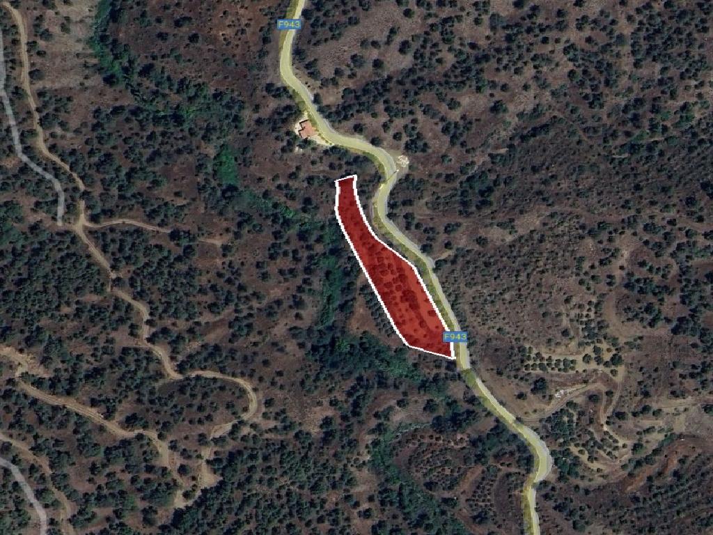 Field-Agios Theodoros (Soleas)-PR39358