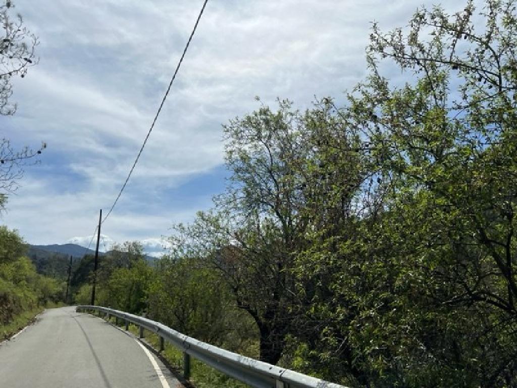 Field-Agios Theodoros (Soleas)-PR39358