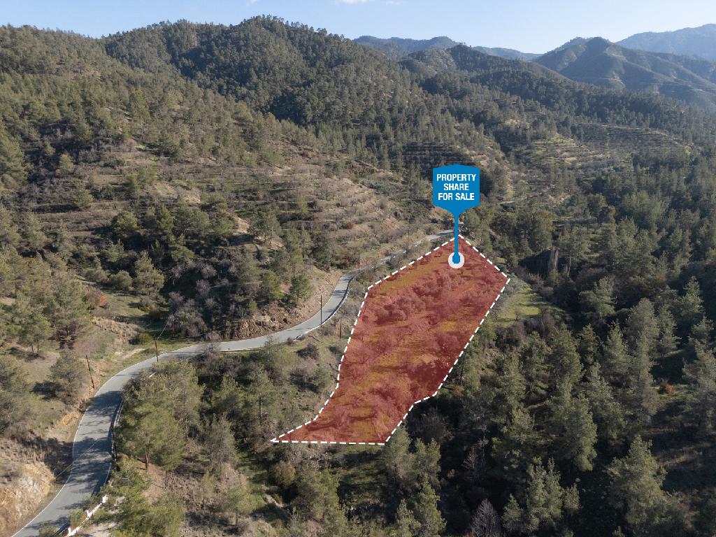 Field-Agios Theodoros (Soleas)-PR39358