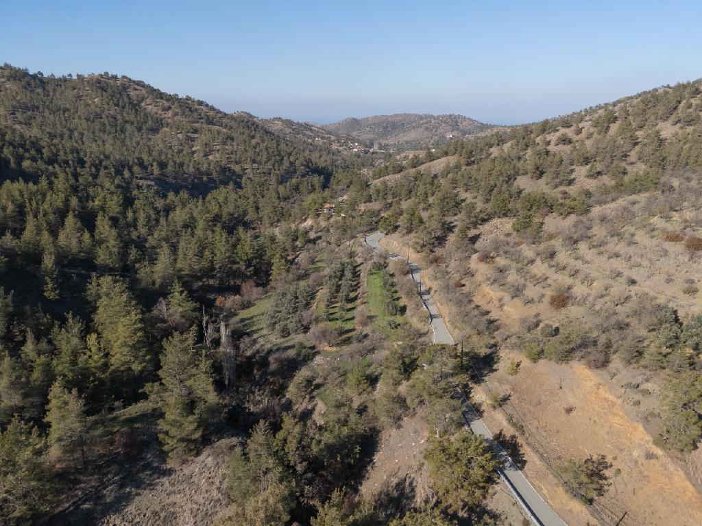 Field-Agios Theodoros (Soleas)-PR39358