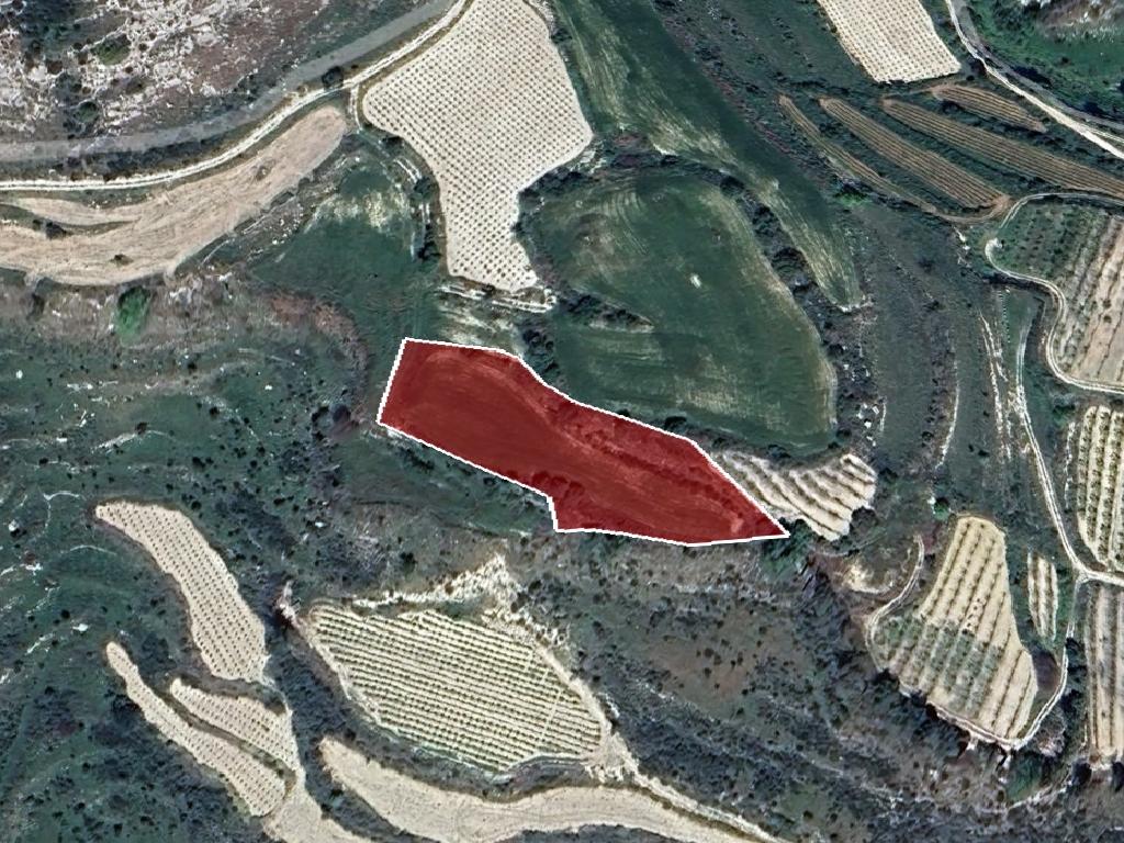 Field-Stroumpi-PR39613