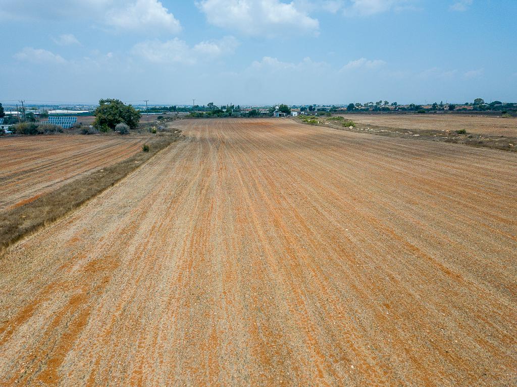 Field - Frenaros, Famagusta