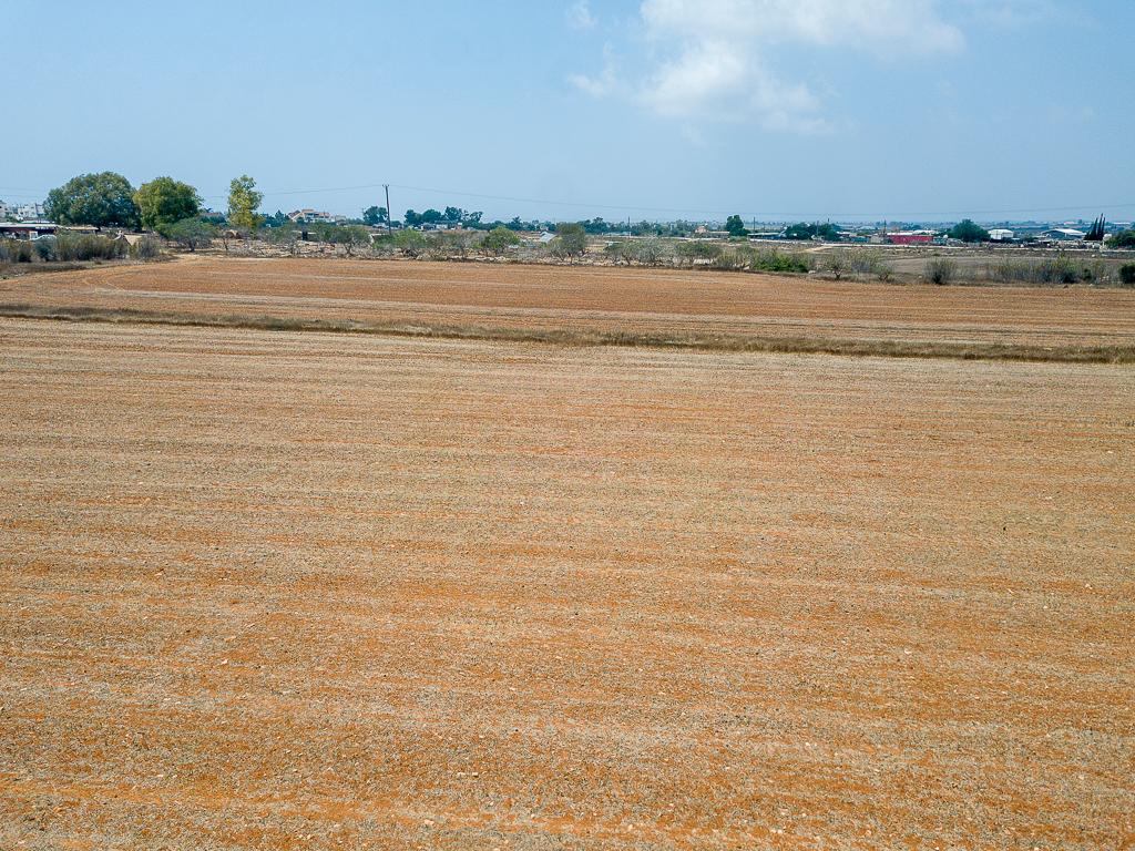 Field - Frenaros, Famagusta