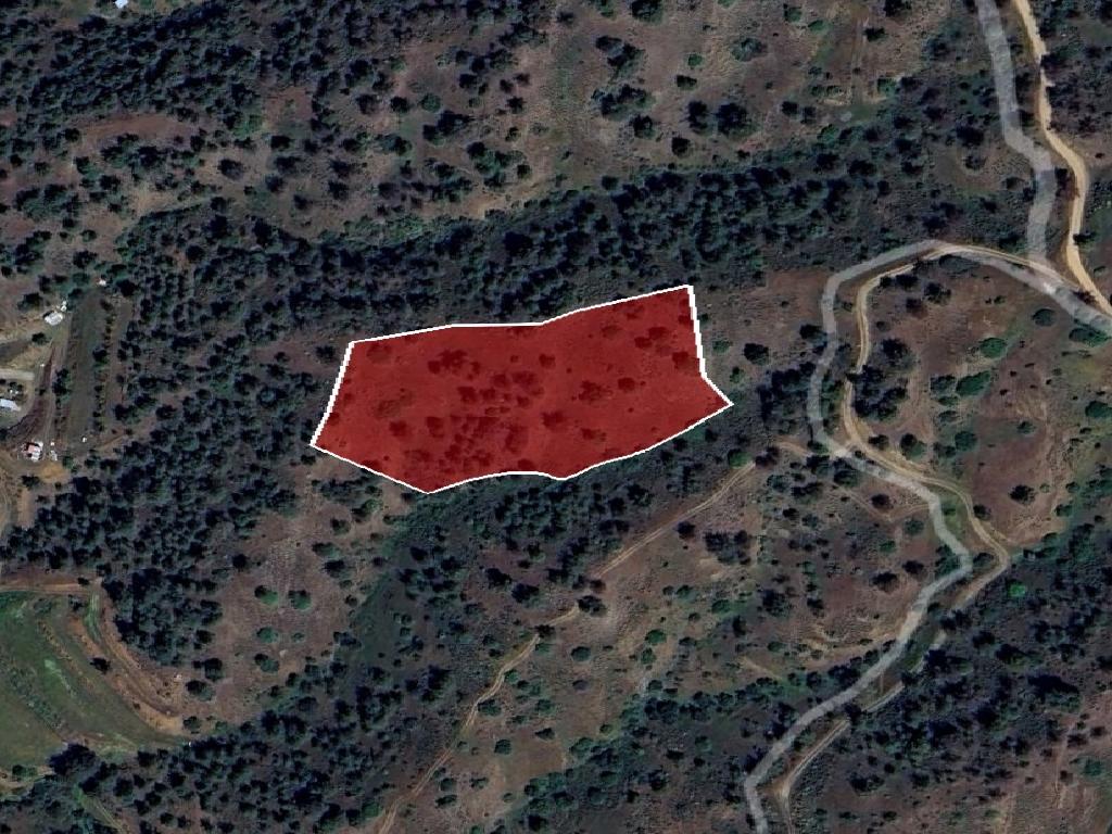 Field-Gourri-PR40168