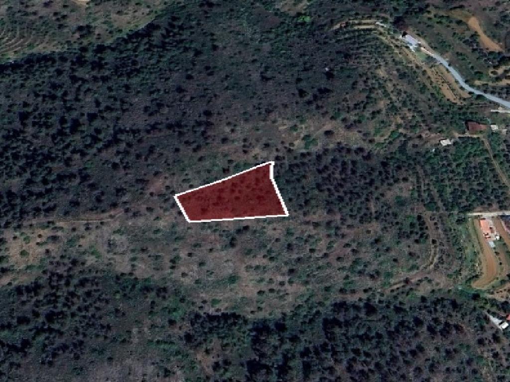 Field-Palaichori Orinis-PR40260