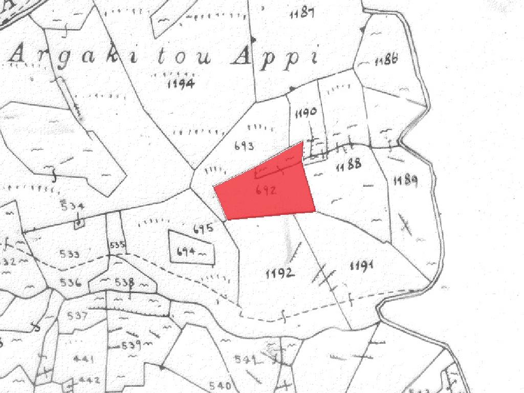 Field-Palaichori Orinis-PR40260