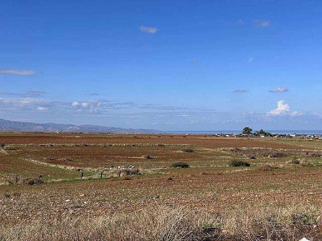 Field - Peristerona, Nicosia