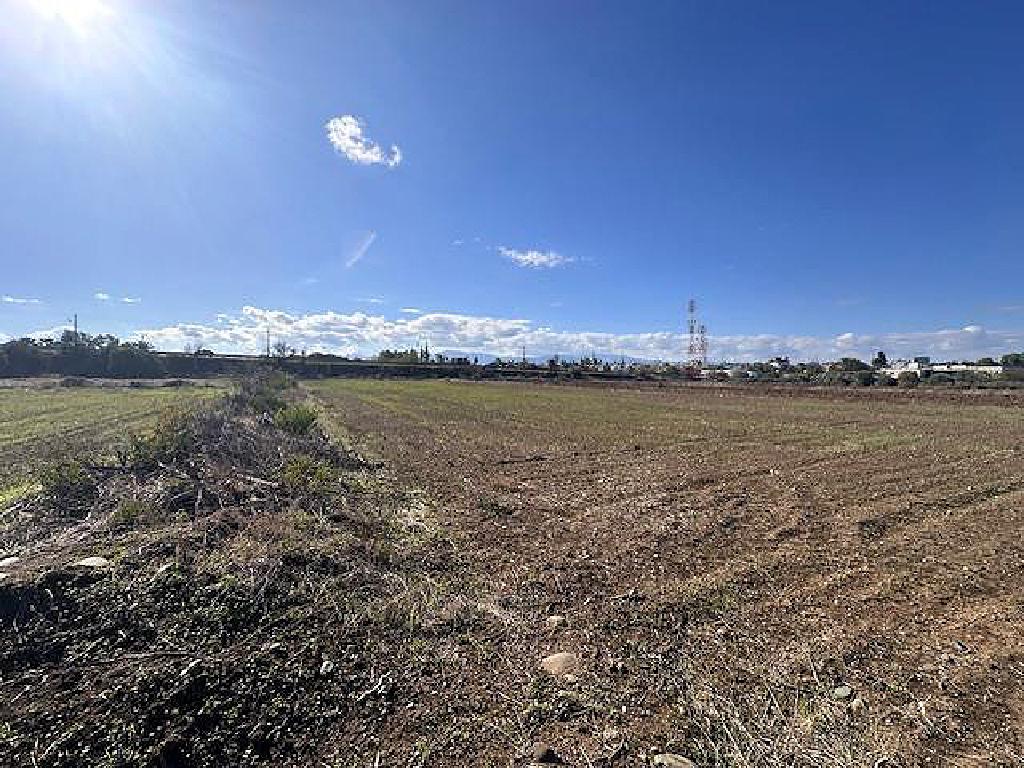 Field - Peristerona, Nicosia