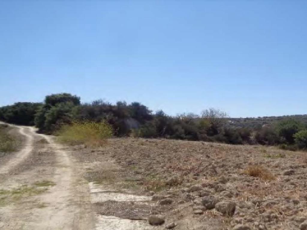 Field-Polemi-PR40631