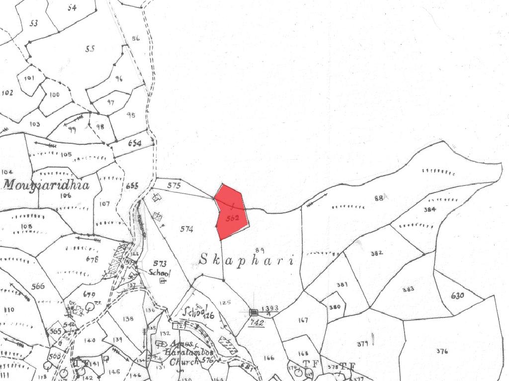 Field - Pigenia, Paphos