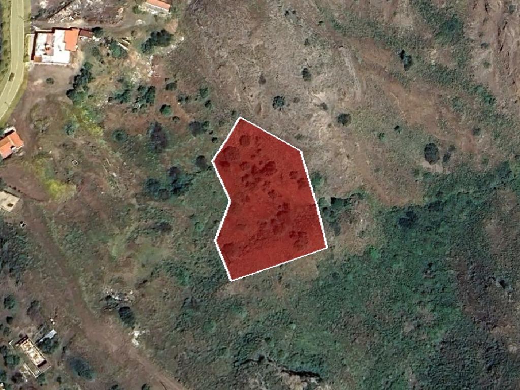 Field - Pigenia, Paphos