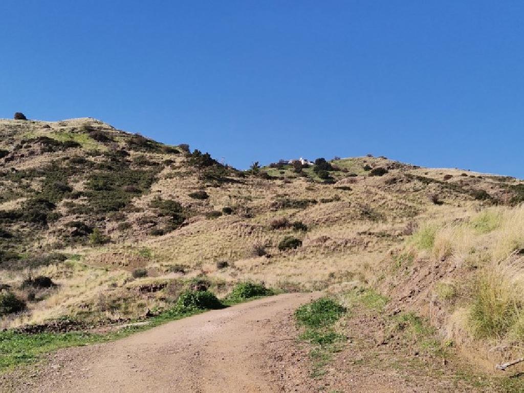 Field - Pigenia, Paphos