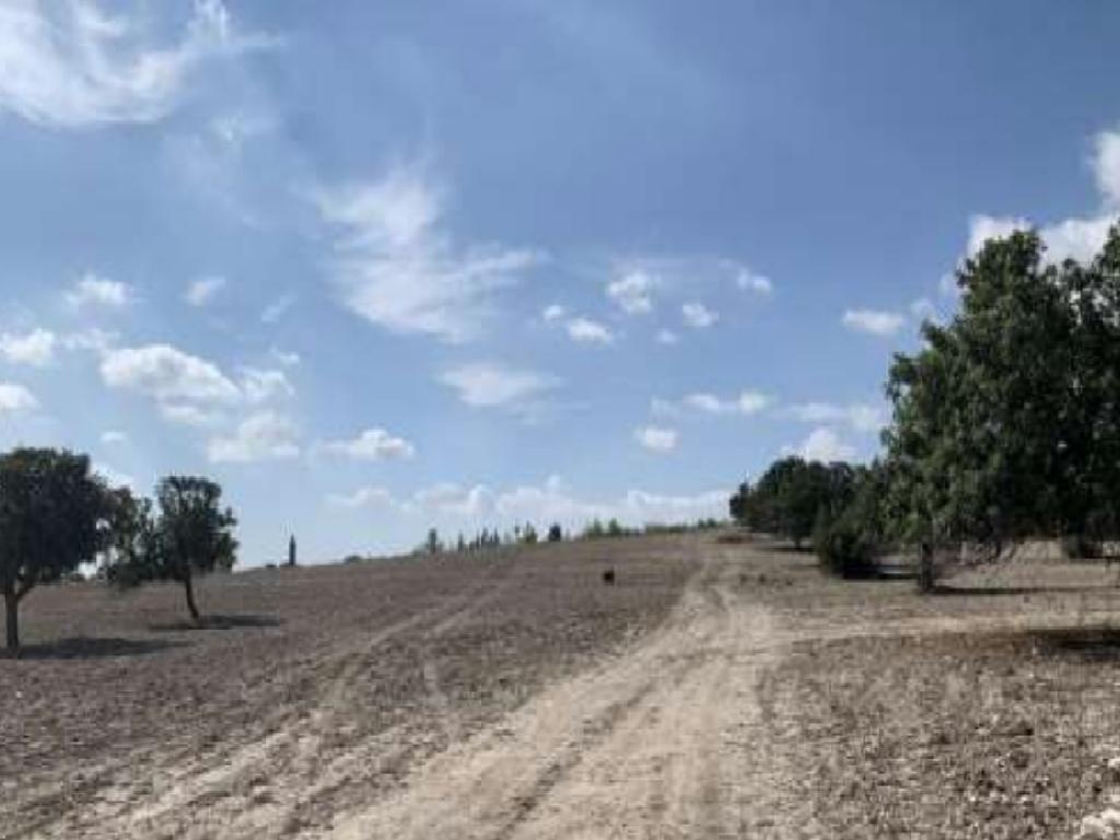Field-Aradippou-PR42231
