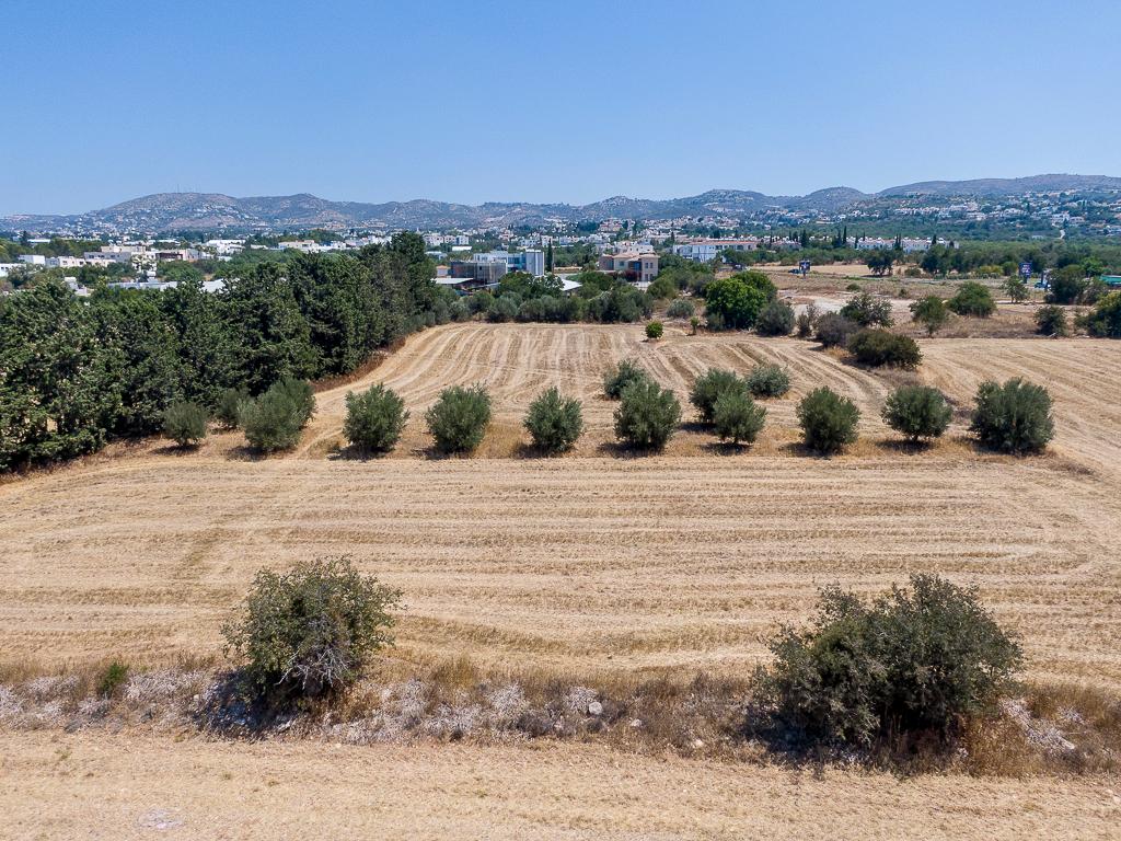 Field-Mesogi-PR43397