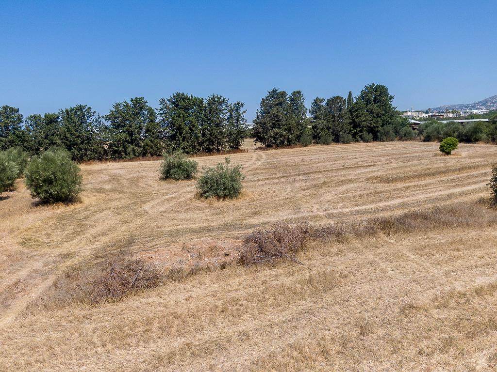 Field-Mesogi-PR43397