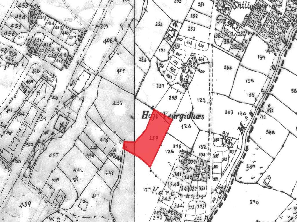 Field-Mesogi-PR43397